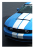 2010-12 Mustang Lemans - Tapered Racing Stripes - Glass Roof - Low Wing - Hood Scoop